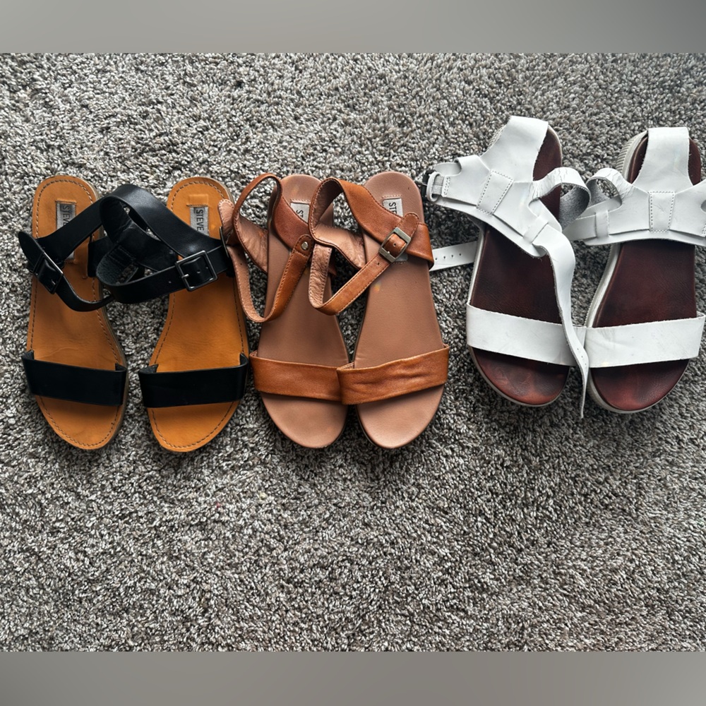 Steve Madden